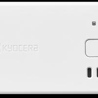 ネコリコ、法人向け高齢者見守りサービス開始
