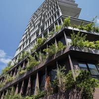 フェイスネットワーク、つなぐネットと包括提携