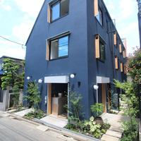 チームネット、保護猫が入居者と近隣住民結ぶ