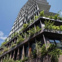 4～6月 フェイスネットワーク 営業赤字縮小