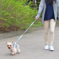 共立メンテナンス、初のペット共生型サ高住がオープン