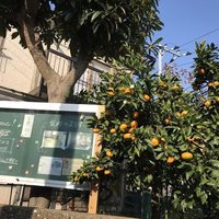 Solar  Crew、空き家をコミュニティスペースへ