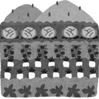 土地評価での路線価方式と倍率方式の差