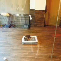 FPR、高級ペットホテル事業開始