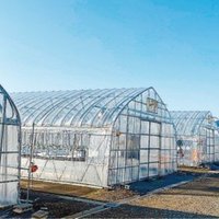 大川地建、農業に参入 3年で収益化へ