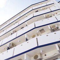 ダイキ、マンスリー事業に注力