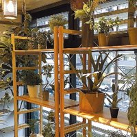 スタートライングループ、仲介店で人工観葉植物を販売