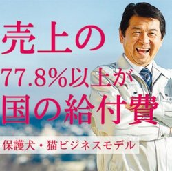 SNSで展開しているクリエーティブの一部