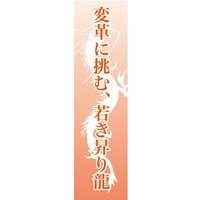 変革に挑む、若き昇り龍