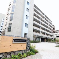 リノベる、間伐材活用のリノベ