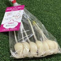 空室の新しい生かし方　キクラゲ&発芽ニンニクを栽培中【賃貸住宅フェア2024 東京セミナーレポート】