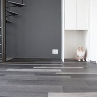 WAG SPACE、ペット可賃貸に特化