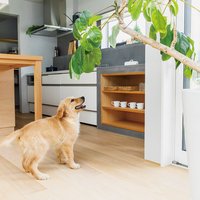 人気設備のはずが不具合も【ペット可賃貸の設備(犬編)】