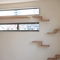 ビルドプラス、全戸猫の飼育可物件を新築