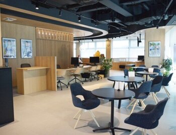 賃貸仲介店舗の内装