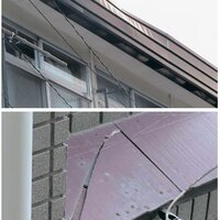 デイグラン、建物診断　保険申請支援セット