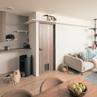 旭化成ホームズ、新築の半数 ペット共生型賃貸