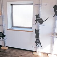 ペイク、ペット共生型住宅をコンサル