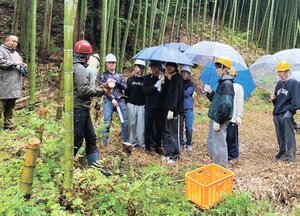 エスクリエイト、メンマづくりで放置竹林解消