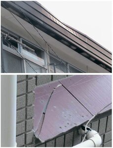 デイグラン、建物診断　保険申請支援セット